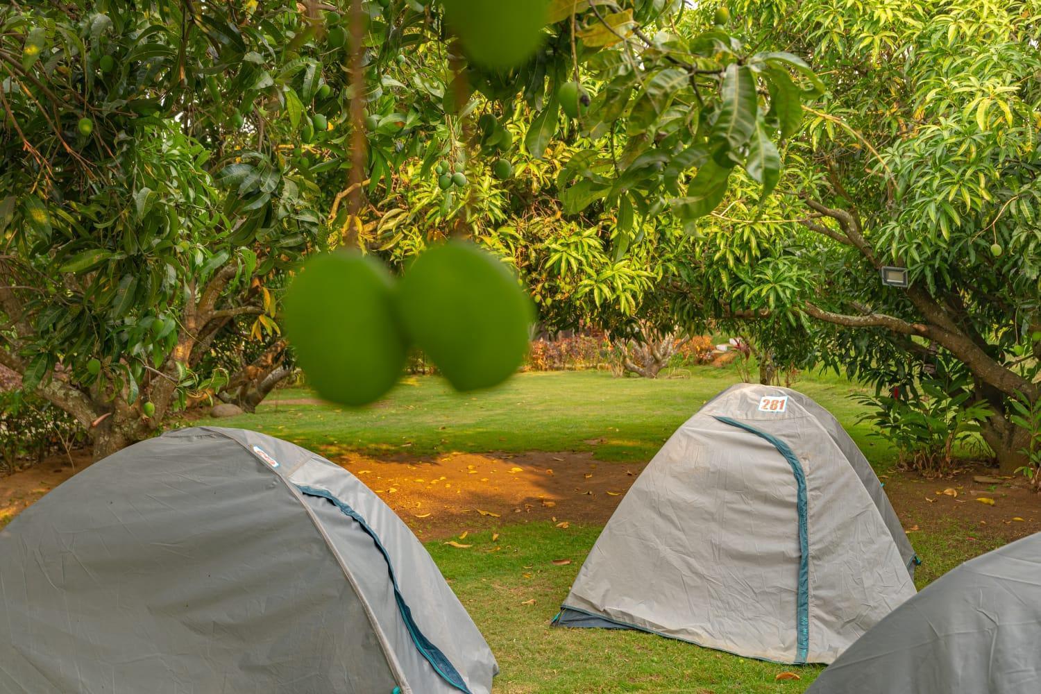 Q Mango Resort Ramanagara Exterior foto